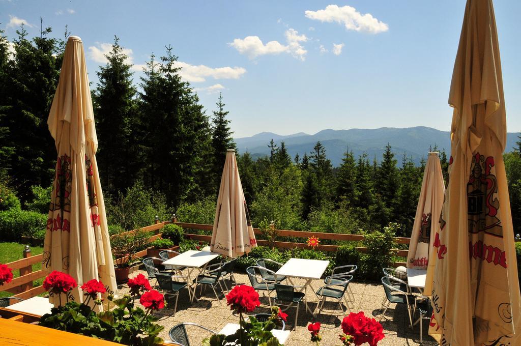 Kolmsteiner Hof Hotel Neukirchen beim Heiligen Blut Eksteriør billede